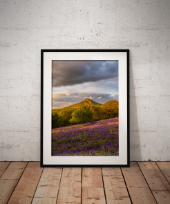 To buy a print or any of the below please click on the images